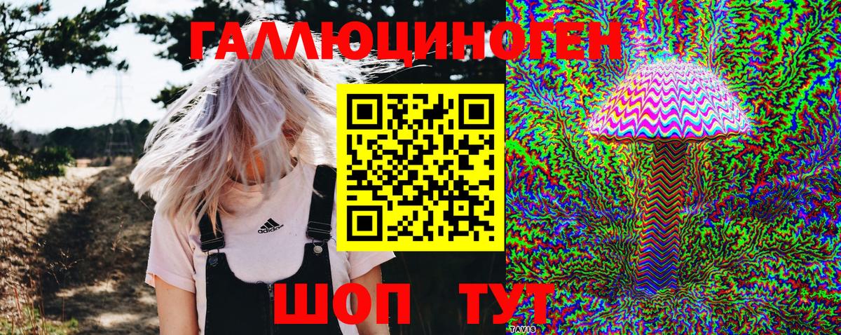 Псилоцибиновые грибы Magic Shrooms Видное